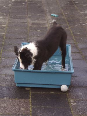 300BenBravery02-09-06 001.jpg